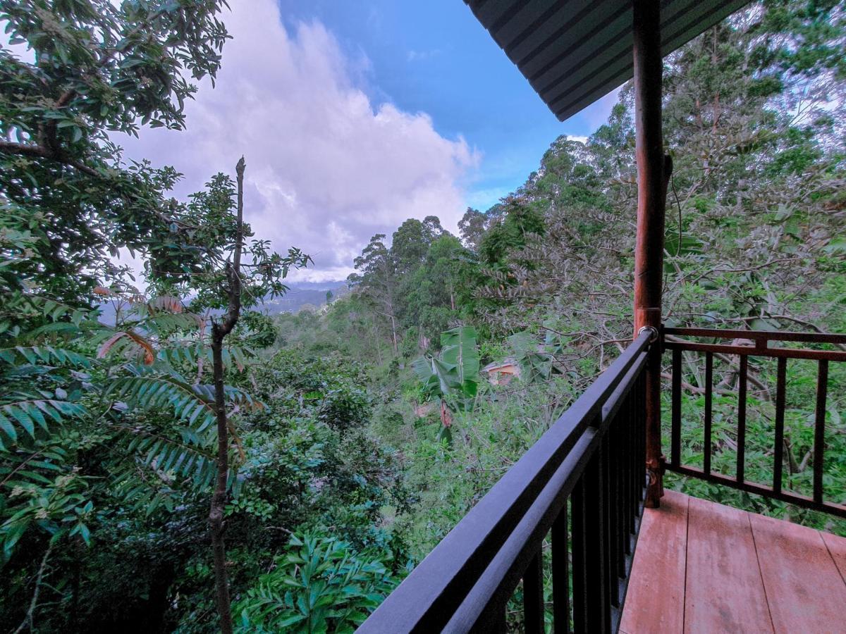 Serene Homestay エッラ エクステリア 写真