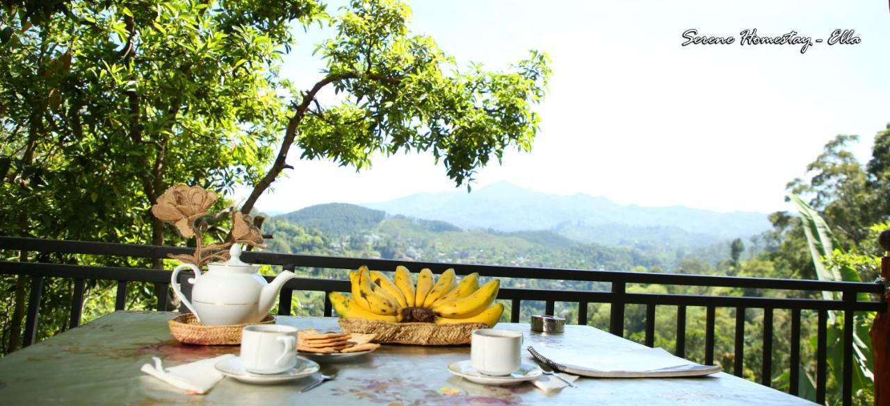 Serene Homestay エッラ エクステリア 写真
