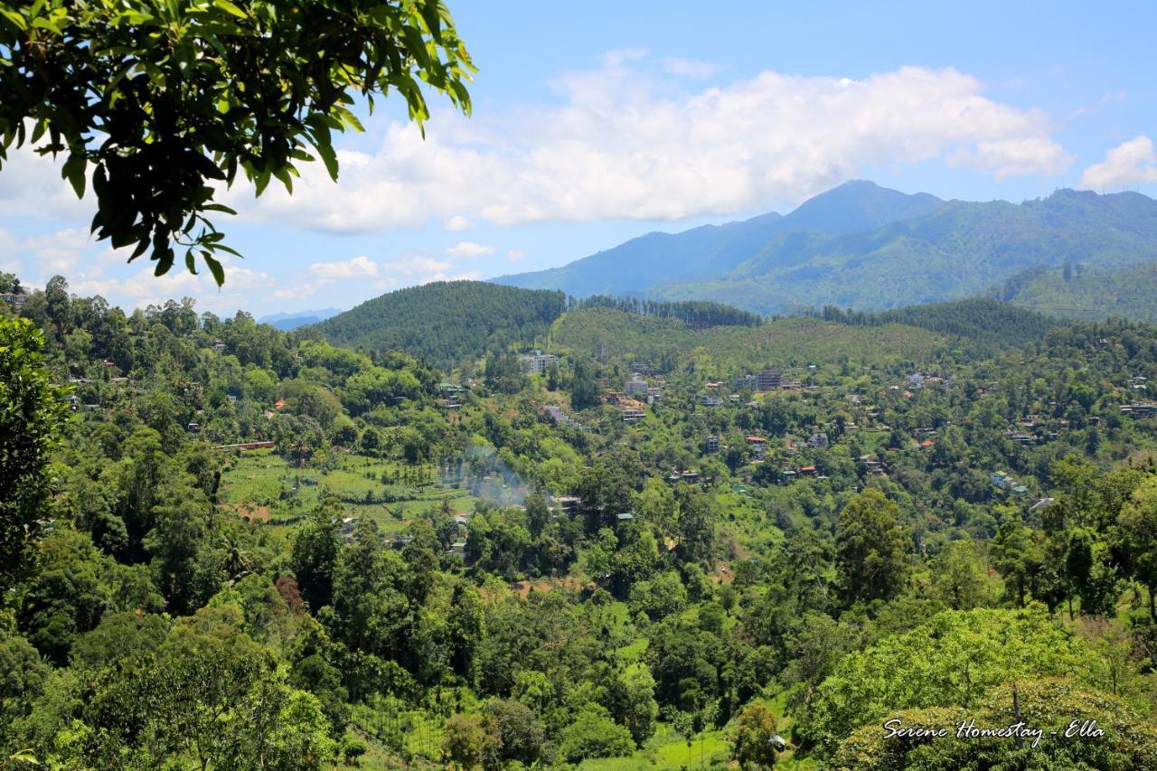 Serene Homestay エッラ エクステリア 写真