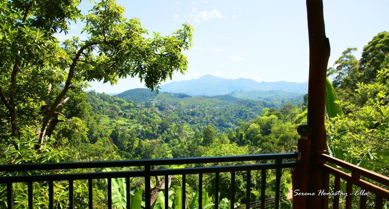 Serene Homestay エッラ エクステリア 写真