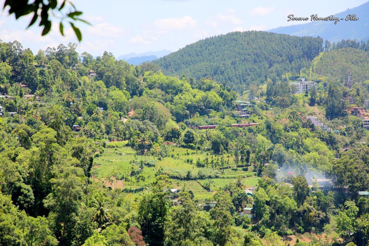 Serene Homestay エッラ エクステリア 写真
