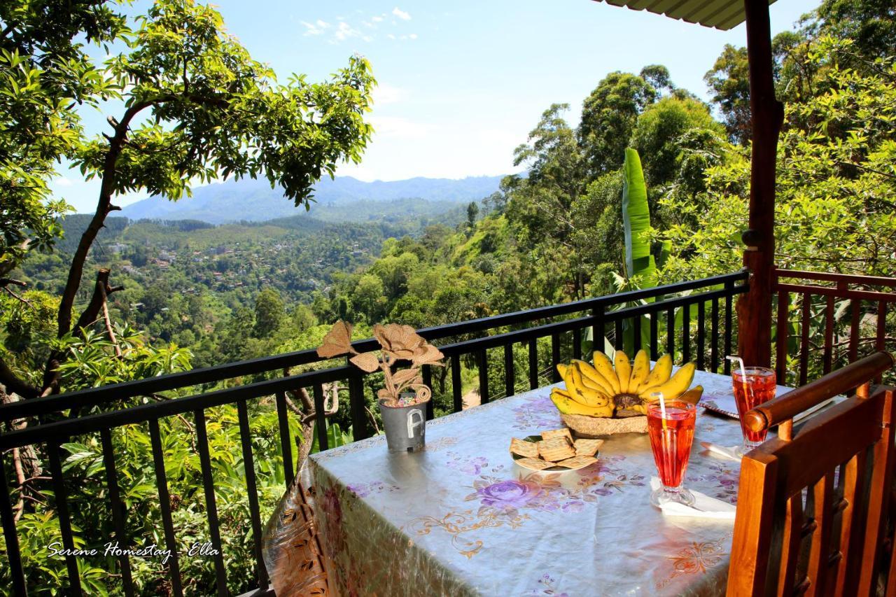 Serene Homestay エッラ エクステリア 写真