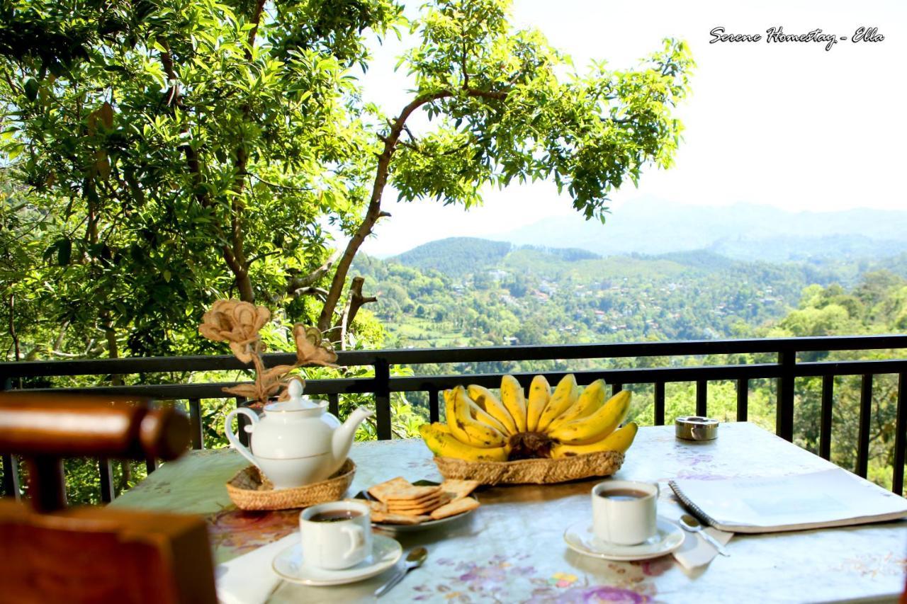 Serene Homestay エッラ エクステリア 写真