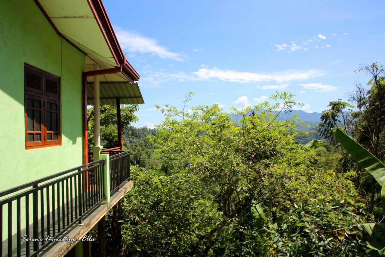 Serene Homestay エッラ エクステリア 写真