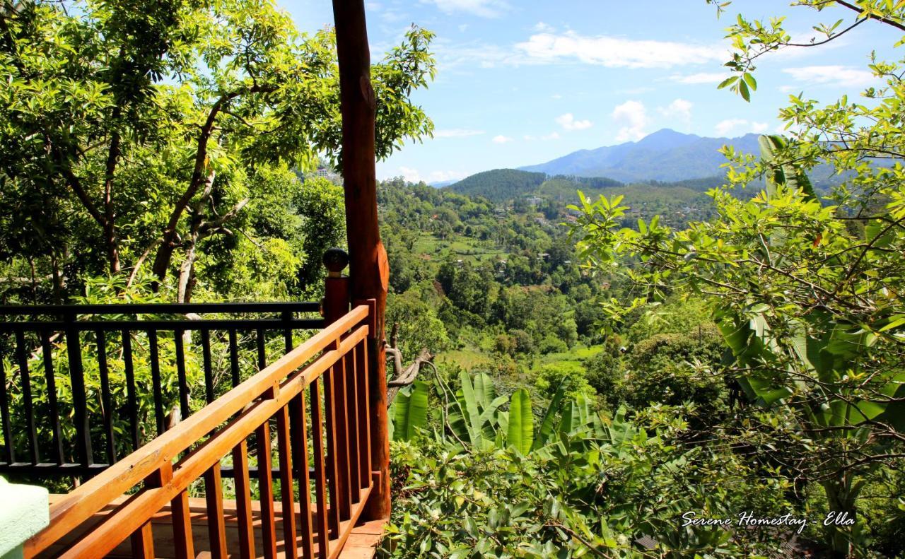Serene Homestay エッラ エクステリア 写真