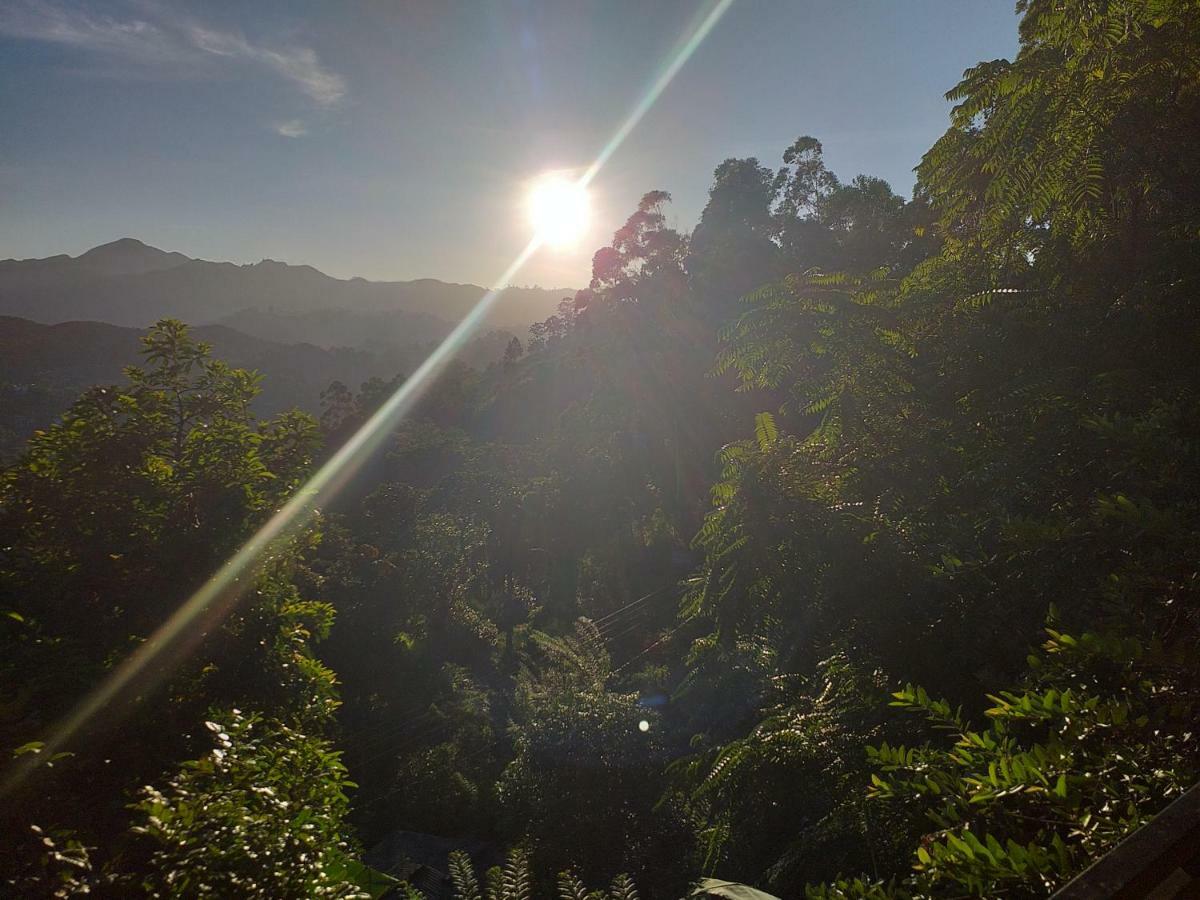 Serene Homestay エッラ エクステリア 写真