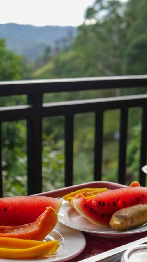 Serene Homestay エッラ エクステリア 写真